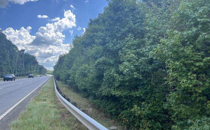 Pictures of Land property located at Highway 411, Rydal, GA 30171 for sales - image #1