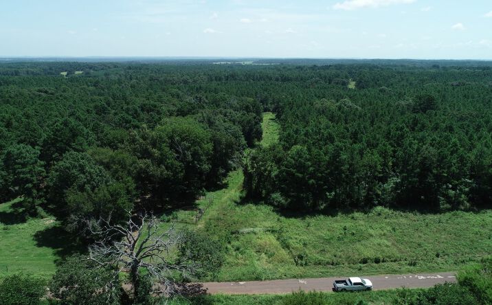 Pictures of Land property located at TBD Tract 3 CR 379, Palestine, TX 75801 for sales - image #1