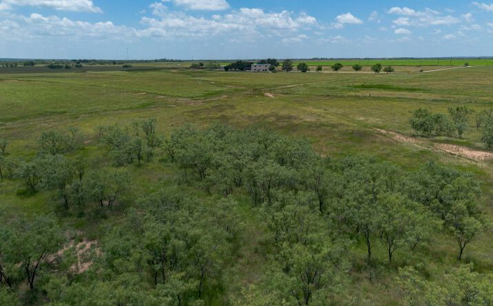 Pictures of Land property located at T1 CR 204, Bradshaw, TX 79567 for sales - image #1