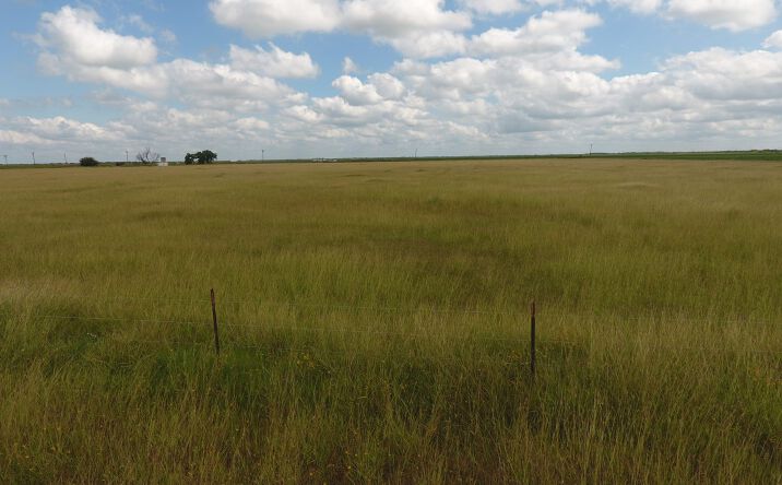 Pictures of Land property located at Tract 1 TBD CR 502, Sinton, USA 78387 for sales - image #1