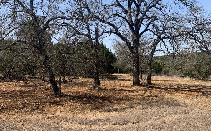 Pictures of Land property located at TBD 25 acres FM 1113, Copperas Cove, USA 76522 for sales - image #1