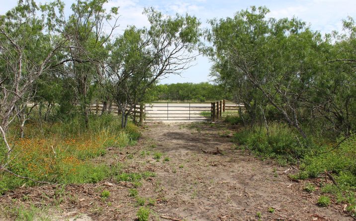 Pictures of Land property located at T1 TBD Hwy 239, Goliad, USA 77963 for sales - image #1