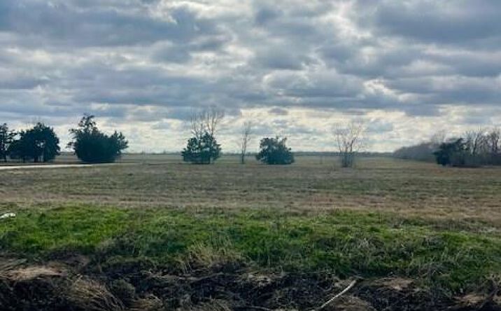 Pictures of Land property located at 145 8th St, Van Vleck, TX 77482 for sales - image #1