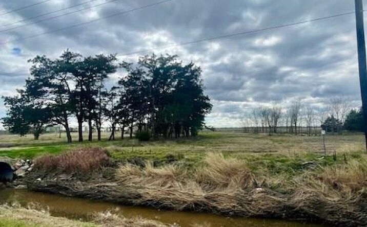 Pictures of Land property located at 185 8th St, Van Vleck, TX 77482 for sales - image #1
