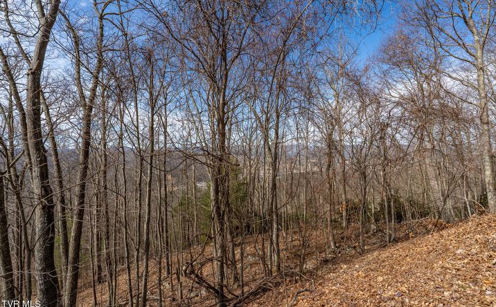 Pictures of Land property located at Tbd Iroquois Road, Mountain, TN 37683 for sales - image #1