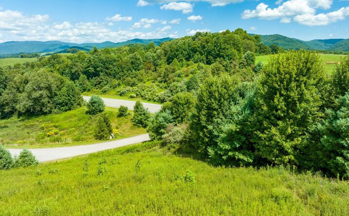 Pictures of Land property located at Lot 53 Laurel Way, Mountain City, TN 37683 for sales - image #1