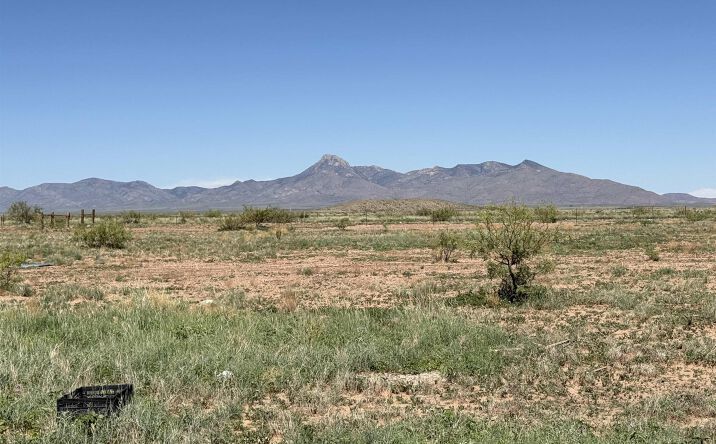 Pictures of Land property located at 15760 Perrin Road, Deming, NM 88030 for sales - image #1
