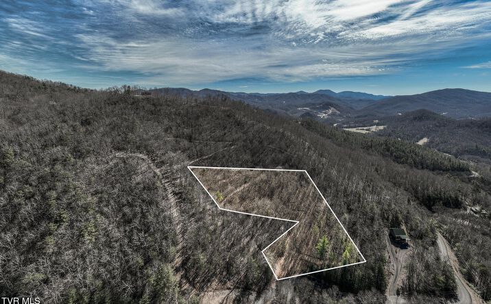 Pictures of Land property located at Lot 1,3,4 Callalantee Course, Mountain City, TN 37683 for sales - image #1