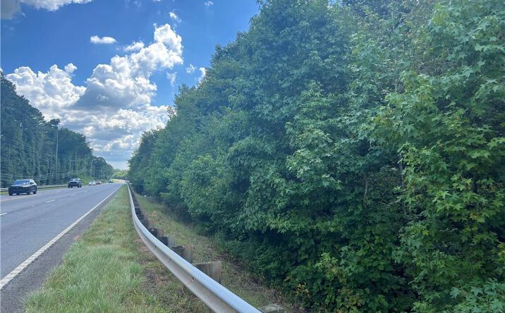 Pictures of Land property located at 0 Highway 411, Rydal, GA 30171 for sales - image #1