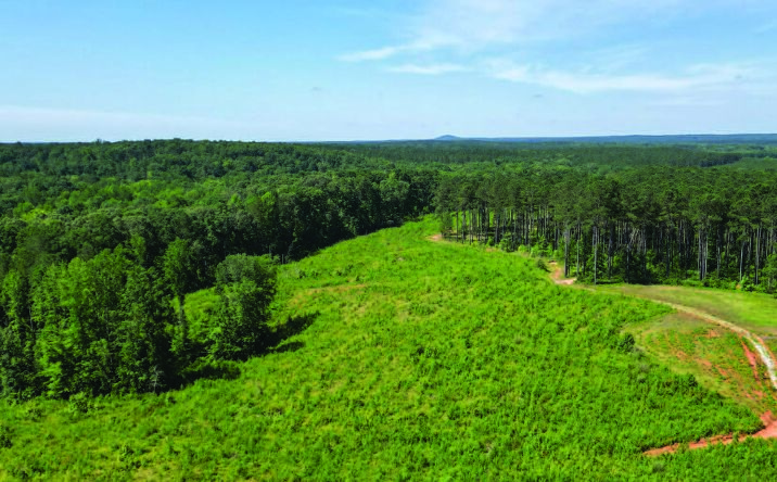 Pictures of Land property located at Forest Service Road & McNeil Road, Abbeville, SC 29620 for sales - image #1