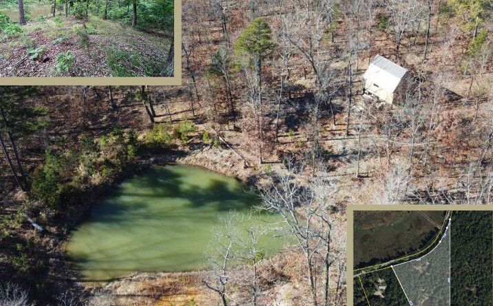 Pictures of Land property located at 15768 Sargent Rd, Willow Springs, MO 65793 for sales - image #1