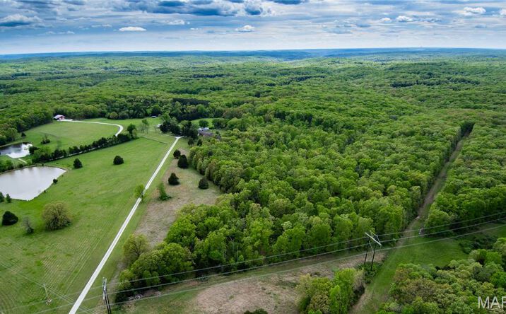 Pictures of Land property located at 28 State Highway E, Jonesburg, MO 63351 for sales - image #1