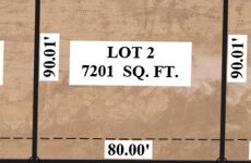 25480484