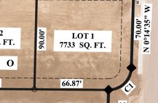27024695