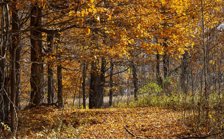 Pictures of Land property located at 6862 N Nature Lane, La Porte, IN 46350 for sales - image #1