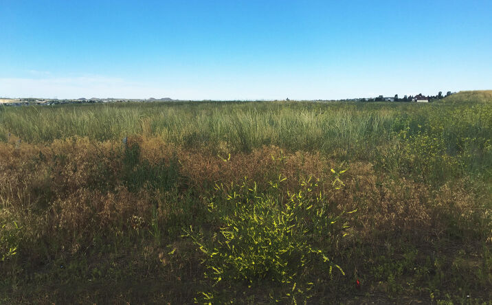 Pictures of Land property located at 119 Tabor Ln, Gillette, WY 82718 for sales - image #1