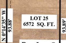 25483948