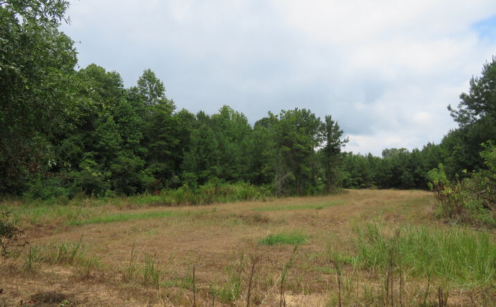 Pictures of Land property located at 1 Deepwoods Dr, Valley Grande, AL 36701 for sales - image #1