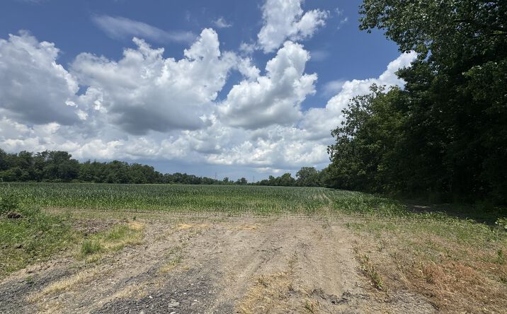 Pictures of Land property located at 31890 Edison Rd, New Carlisle, IN 46552 for sales - image #1