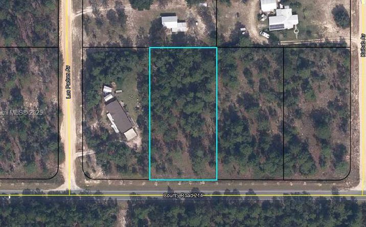Pictures of Special Purpose property located at 5636 County Rd 214, Other City - In The State Of Florida, FL 32656 for sales - image #1