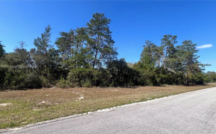Pictures of Land, Multifamily property located at 32nd Cir / Marion Oaks Blvd, Ocala, FL 34473 for sales - image #1