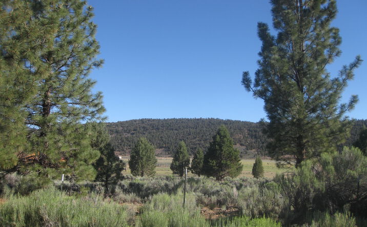Pictures of Land property located at 2805 Cedar, Big Bear City, CA 92314 for sales - image #1