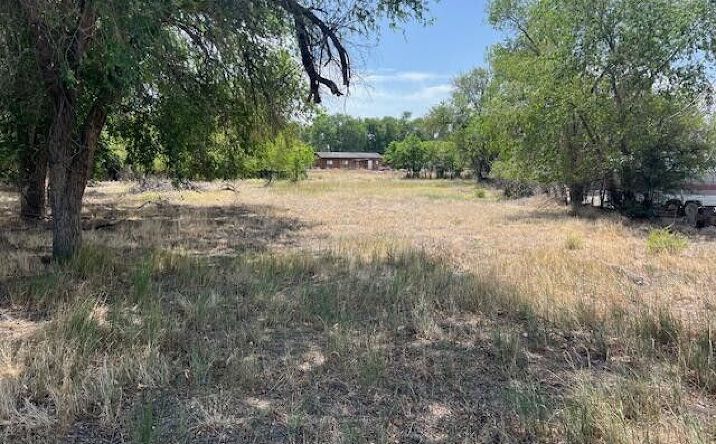 Pictures of Land property located at S Maine Street, Fallon, NV 89406 for sales - image #1