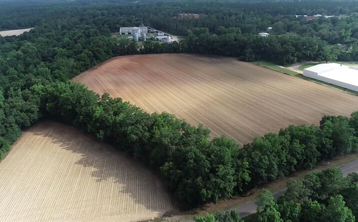 Pictures of Land property located at 11.83+-ac Grove Rd, Cottonwood, AL 36027 for sales - image #1