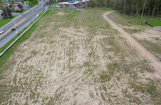 25506597