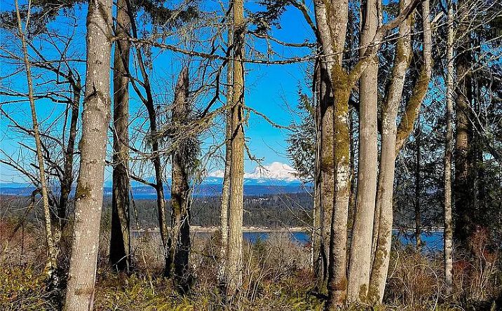 Pictures of Land property located at 2998 Oak Bay Rd, Port Hadlock-Irondale, WA 98339 for sales - image #1