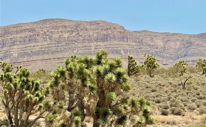 Pictures of Land property located at 26681 Yucca Road, Meadview, AZ 86444 for sales - image #1