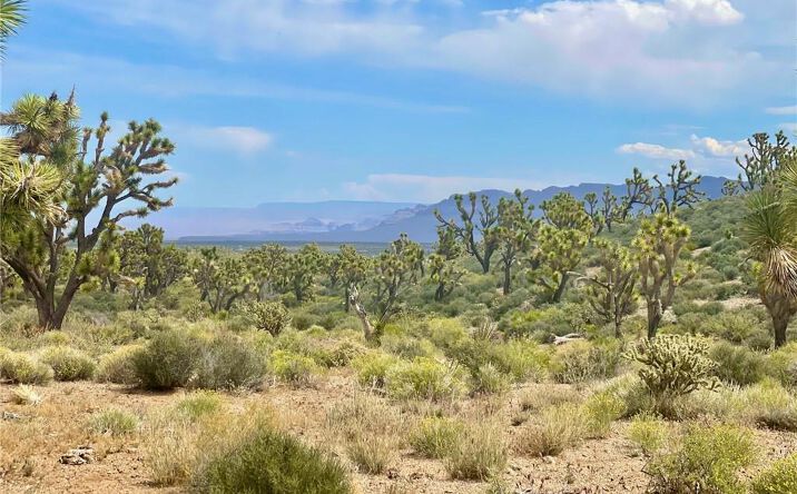 Pictures of Land property located at 240 Acres Meadview, Meadview, AZ 86444 for sales - image #1