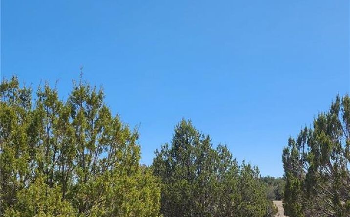 Pictures of Land property located at Lot B Roaming Way Way, Seligman, AZ 86337 for sales - image #1