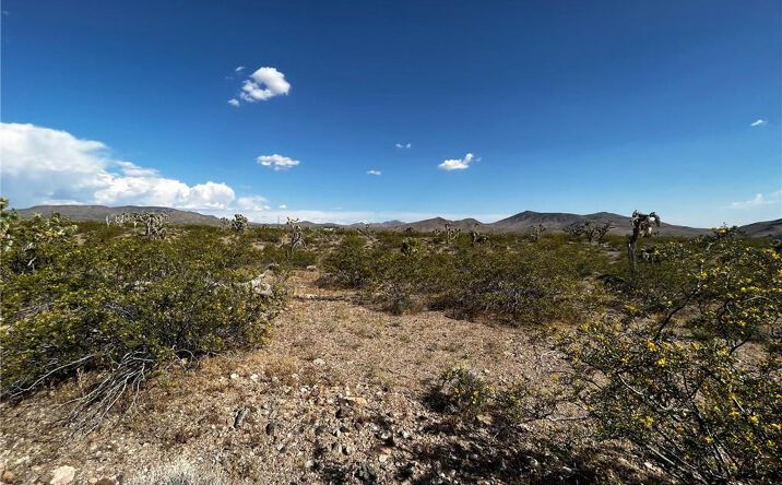 Pictures of Land property located at 8900 Vista Verde Dr, White Hills, AZ 86445 for sales - image #1