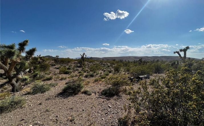 Pictures of Land property located at 20618 N Deer Dr, Kingman, AZ 86445 for sales - image #1