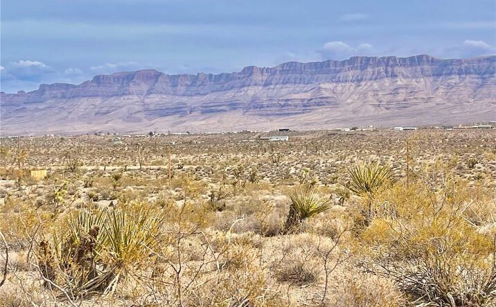 Pictures of Land property located at 1650 W Safari Drive, Meadview, AZ 86444 for sales - image #1