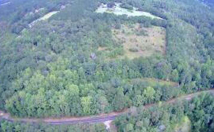 Pictures of Land property located at Xx Butler Drive, Cope, SC 29038 for sales - image #1