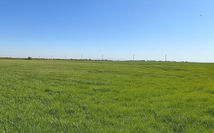 Pictures of Land, Mixed Use, Office property located at 46 Ralph Rd, Imperial, CA 92251 for sales - image #1