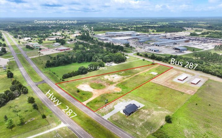Pictures of Land property located at 00 US 287, Grapeland, TX 75844 for sales - image #1