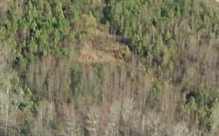 Pictures of Land, Retail property located at 2175 N Main Street, Sumter, SC 29153 for sales - image #1