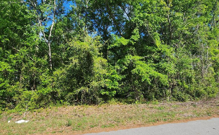 Pictures of Land, Multifamily property located at 2395 Killdee, Sumter, SC 29154 for sales - image #1