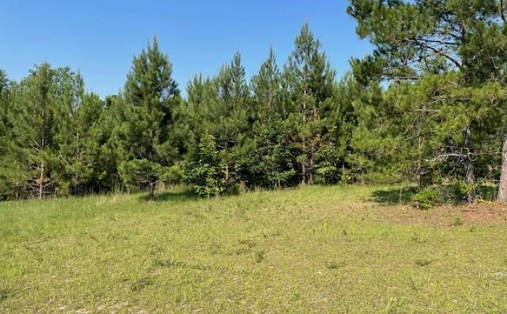 Pictures of Land, Special Purpose, Multifamily property located at 0 Old River Road, Elloree, SC 29047 for sales - image #1