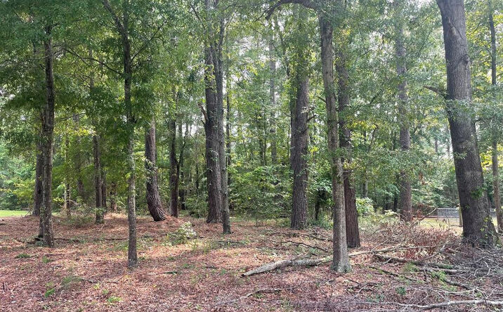 Pictures of Land, Special Purpose property located at 0 Gin Pond Drive, Summerton, SC 29048 for sales - image #1