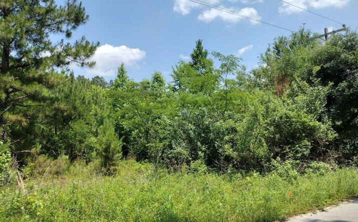 Pictures of Land, Multifamily property located at 00 lot2 Meagen Lane, Manning, SC 29102 for sales - image #1