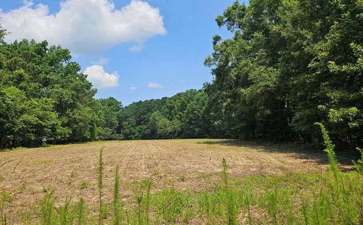Pictures of Land, Special Purpose property located at Lot 2a M W Rickenbaker Road, Summerton, SC 29148 for sales - image #1