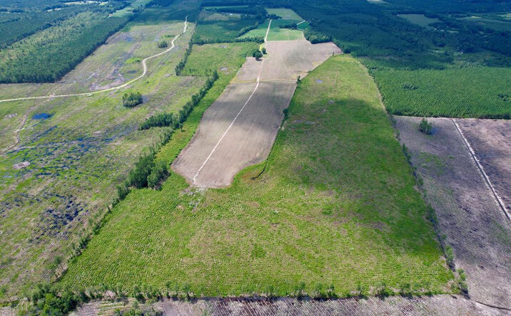 Pictures of Land, Special Purpose property located at 527 Tbd Hwy 527, New Zion, SC 29111 for sales - image #1