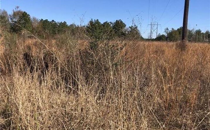image of property at BUFORD DAY RD Merryville LA 70653