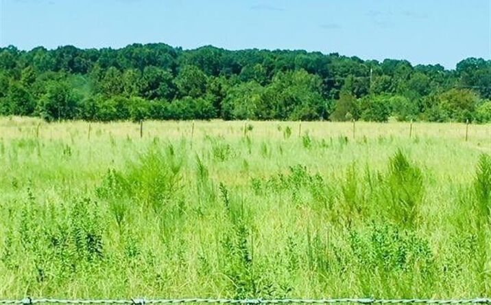 image of property at 0 HWY 171 4A LA 70652