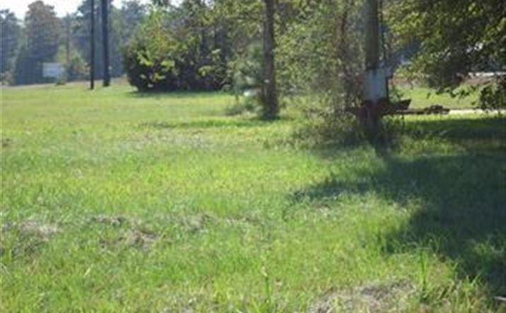 Pictures of Land property located at 1198 N HWY 171 N Highway, Lake Charles, LA 70611 for sales - image #1