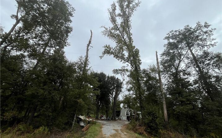 Pictures of Land property located at 594 First Pentecostal Church Road, Longville, LA 70657 for sales - image #1